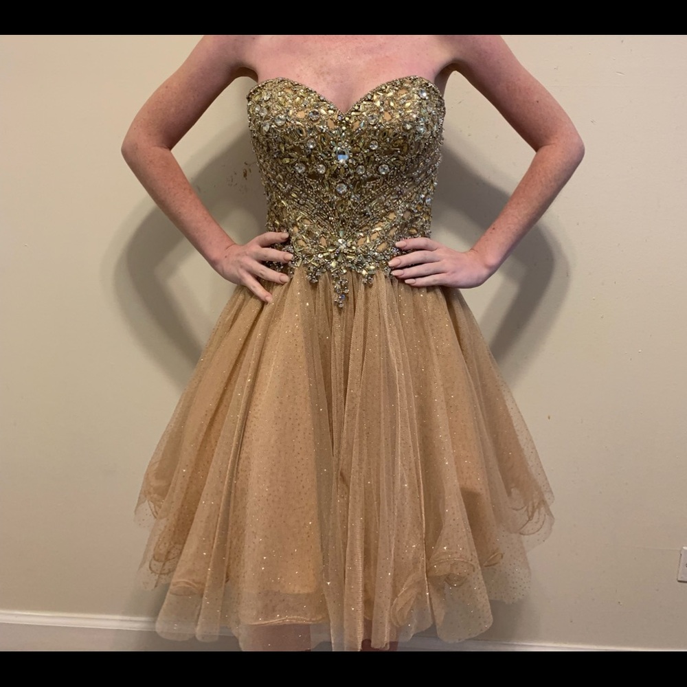 Terani Couture gorgeous cocktail dress.